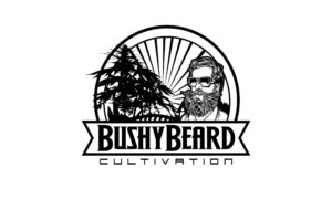 Bushy Beard Cultivation